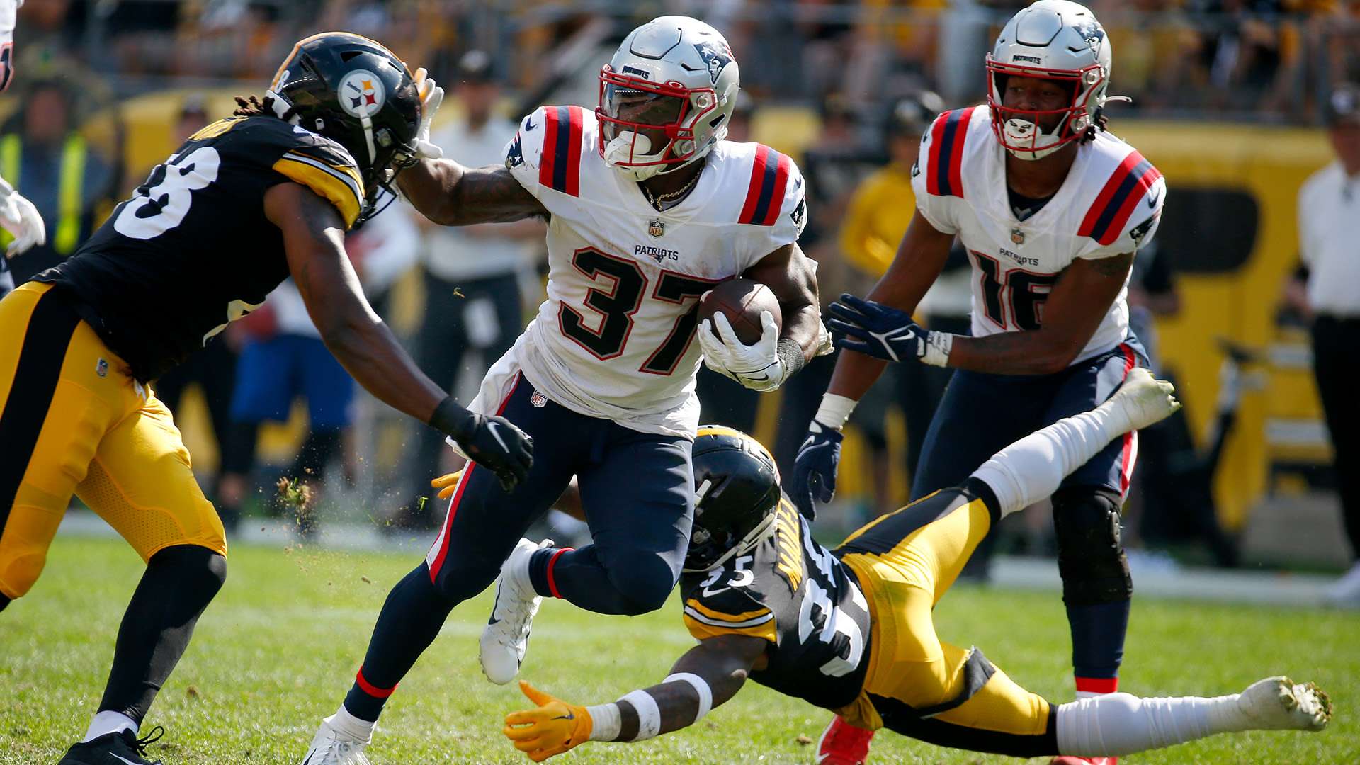 球迷们对于 球迷们对于