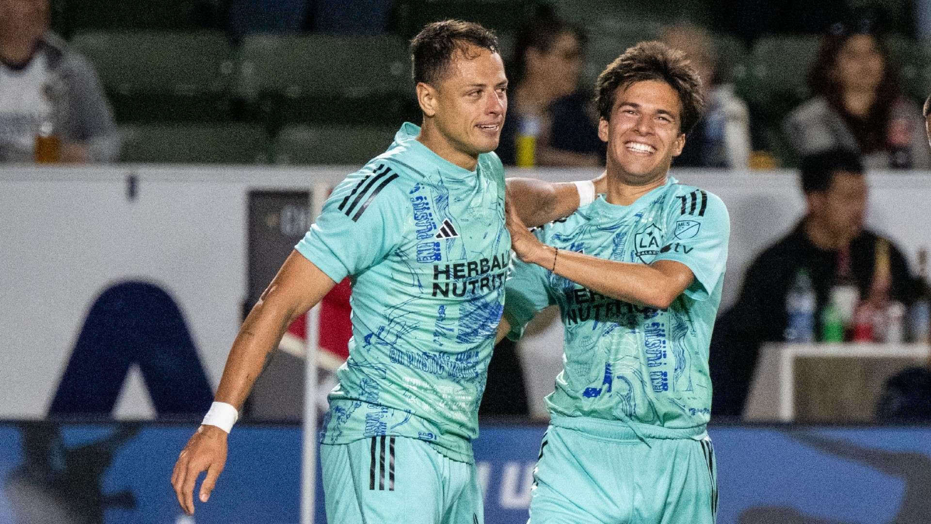 这七名球员 这七名球员